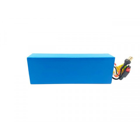 Batterie Lithium 12V 31Ah 454Wh