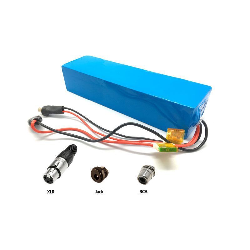 Batterie de 48 V 10 Ah LG TZIPower Pour v/élo /électrique et scooter Batterie en PVC