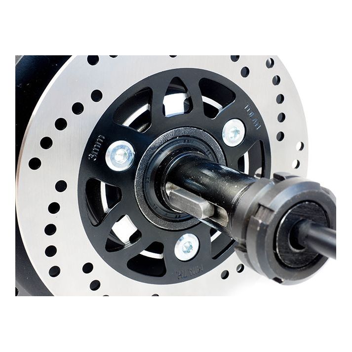 Electric Wheel motor 3000W 200Nm