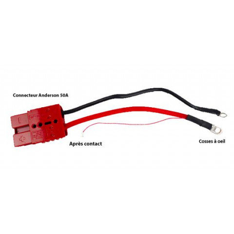 Cable batterie KELLY avec connecteur Anderson 50A