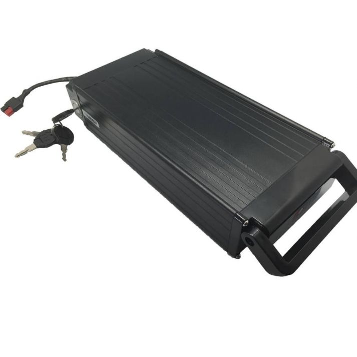 Batterie SONY 48V 11Ah pour porte bagages