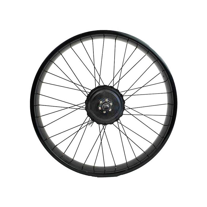 fat bike rear wheel