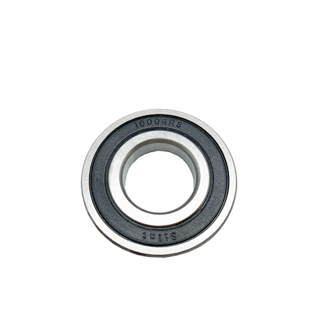 16003RS 20x42x8mm rolling