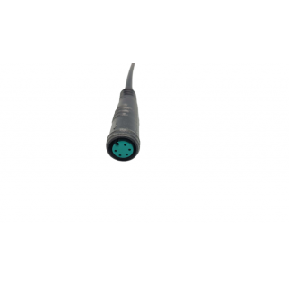 Câble Y Display
