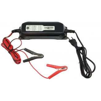Chargeur plomb 12V
