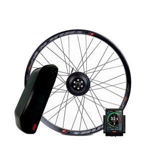 Touring 250W rear wheel kit with 36V casing battery