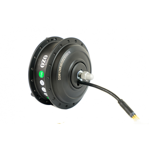 Moteur BOBBER 250W AV
