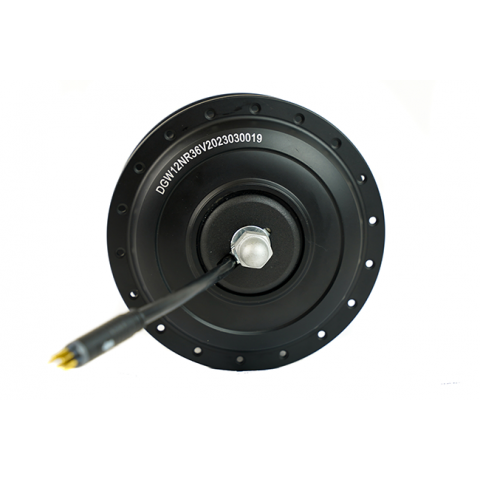 Moteur BOBBER 250W AV