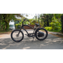 Moteur BOBBER 250W AV