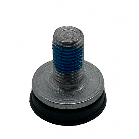 Crank screw