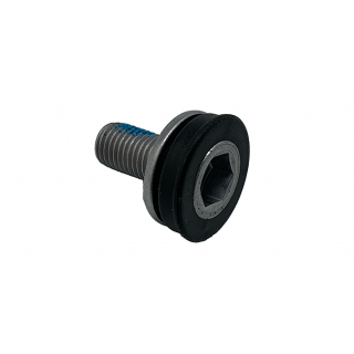 Crank screw