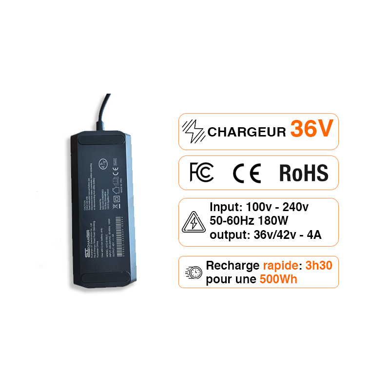 Chargeur 36V 4A pour batterie Lithium de vélo électrique prise RCA