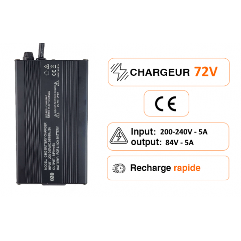 LiFePO4 16s 48V 4A Charger