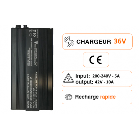 LiFePO4 16s 48V 4A Charger
