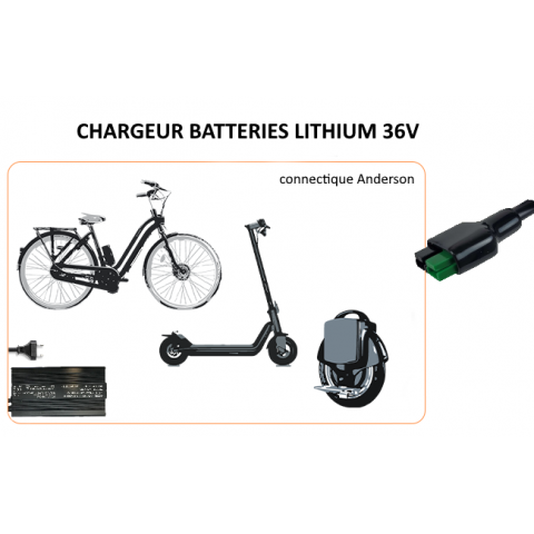 LiFePO4 16s 48V 4A Charger