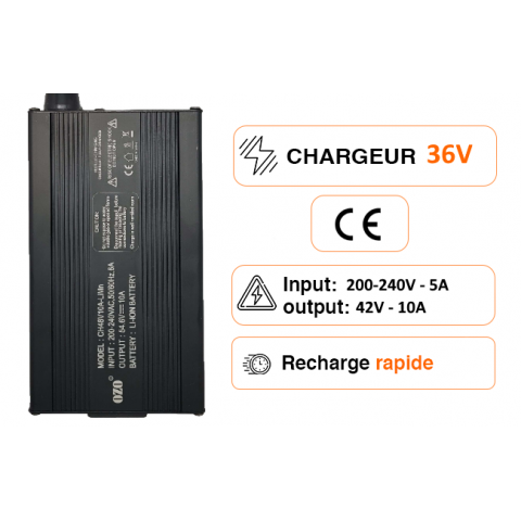 LiFePO4 16s 48V 4A Charger