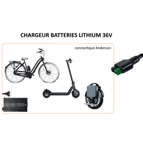 LiFePO4 16s 48V 4A Charger