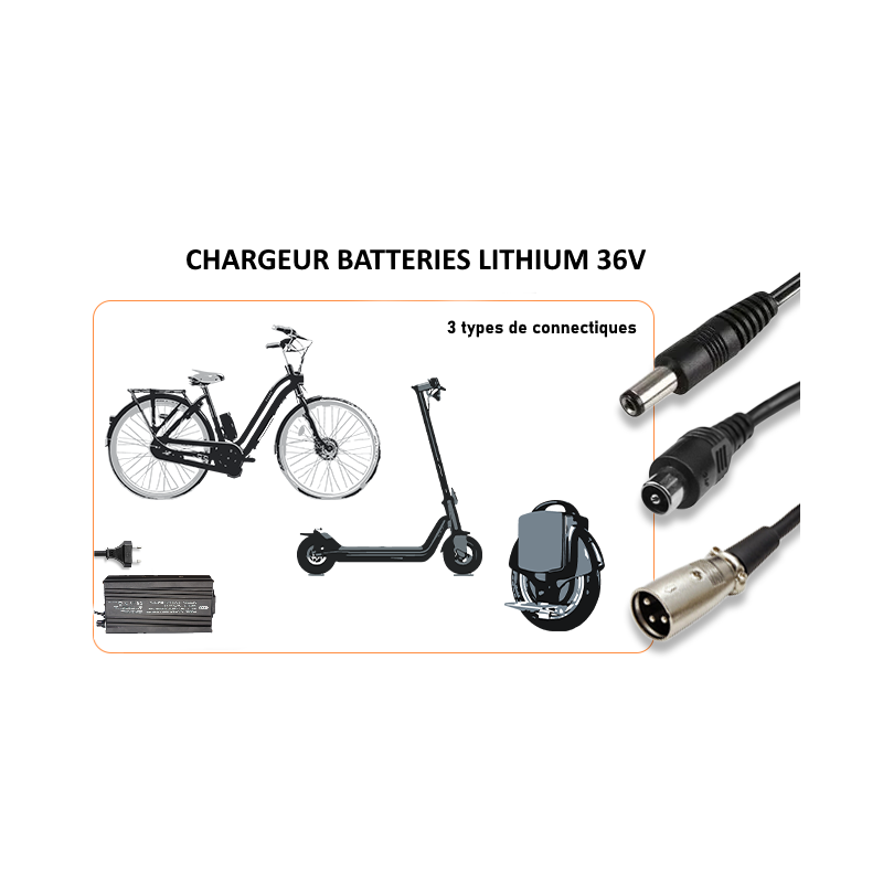Chargeur 4A Batterie 48V Lithium rapide pour batterie LIMN, LiPO