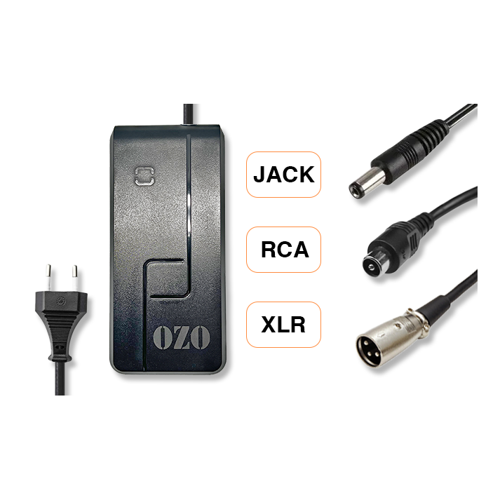 Chargeur Batterie Lithium 36V 2A 4A RCA XLR Jack 