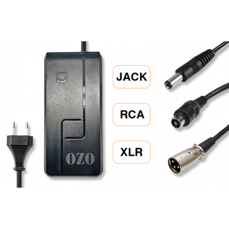 Chargeur Batterie Lithium 36V 2A 4A RCA XLR Jack 