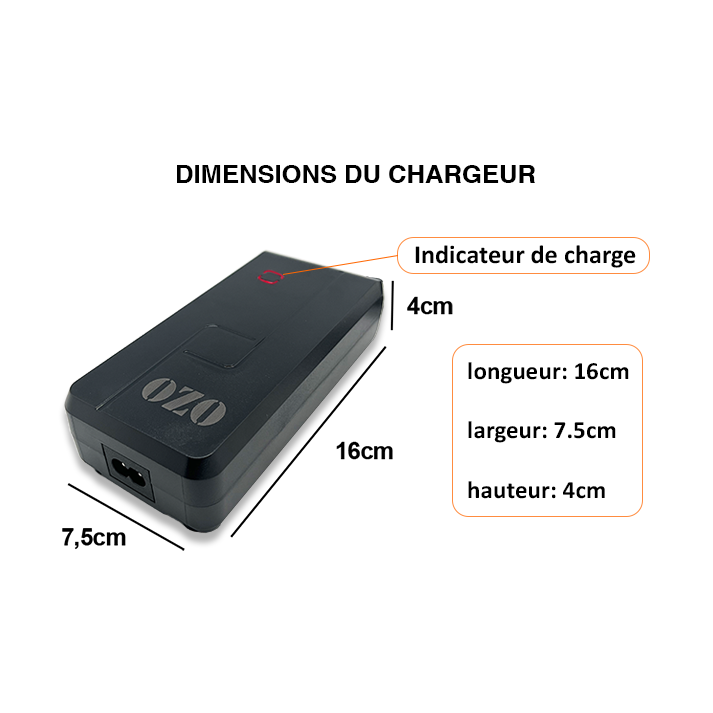 Chargeur Batterie Lithium 36V 2A 4A RCA XLR Jack 