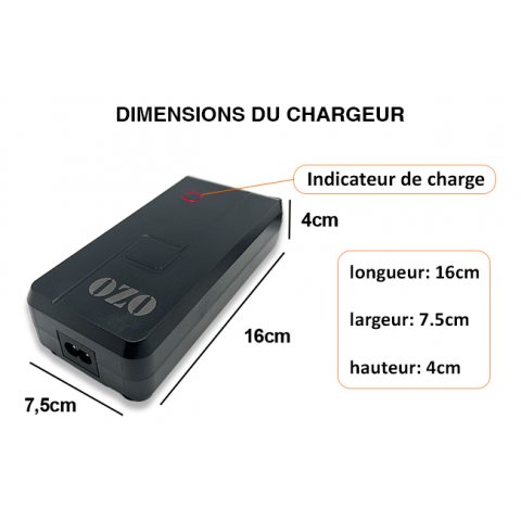 Charger 36V 2A 4A XLR JACK RCA