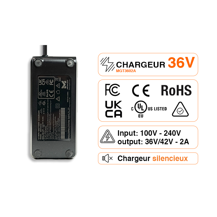 Chargeur Batterie Lithium 36V 2A 4A RCA XLR Jack 