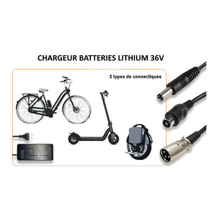 Chargeur Batterie Lithium 36V 2A 4A RCA XLR Jack 