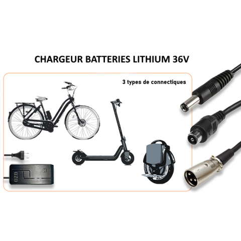 Chargeur Batterie Lithium 36V 2A 4A RCA XLR Jack 