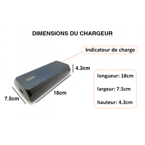 Charger 36V 2A 4A XLR JACK RCA