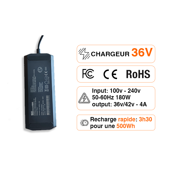 Chargeur Batterie Lithium 36V 2A 4A RCA XLR Jack 