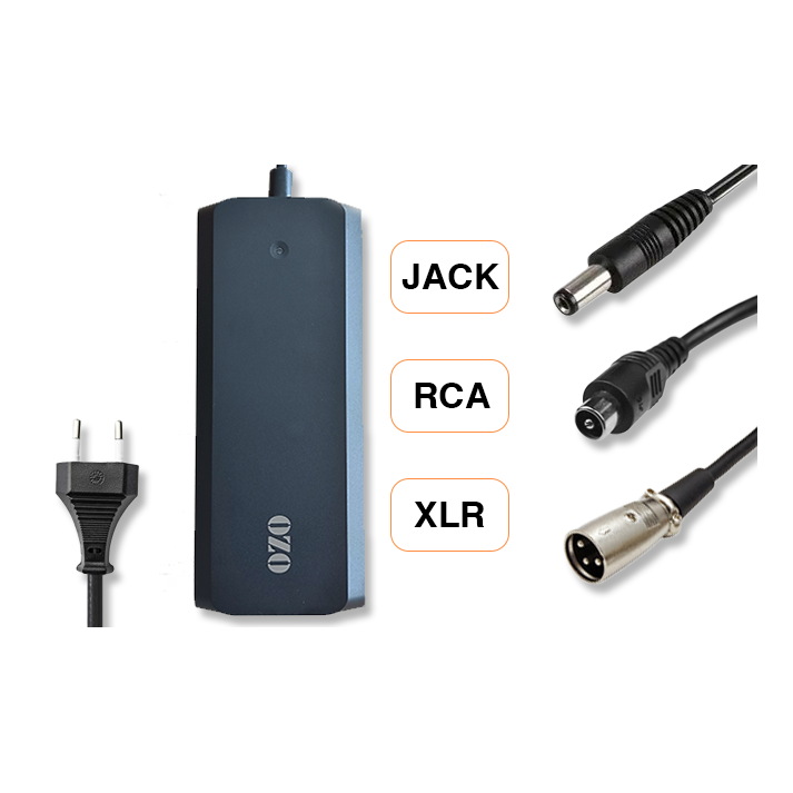 Chargeur Batterie Lithium 36V 2A 4A RCA XLR Jack 