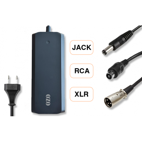 Charger 36V 2A 4A XLR JACK RCA
