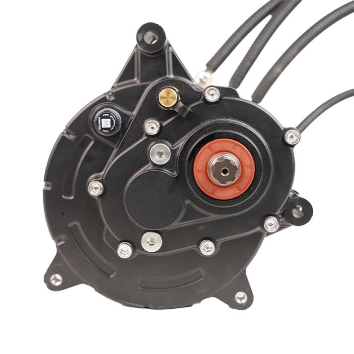 Electric retrofit motor for motocycle or karting