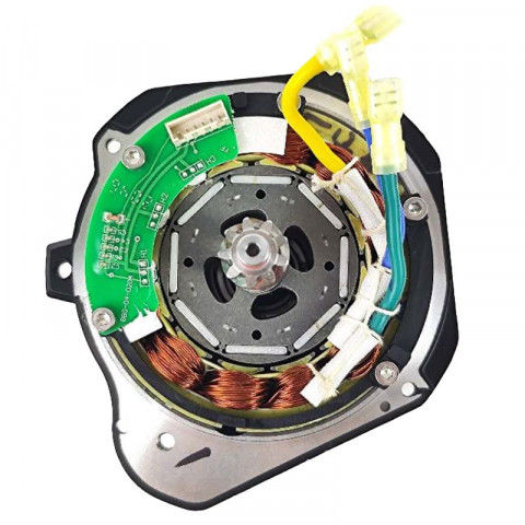 Stator and rotor of the BBSHD motor