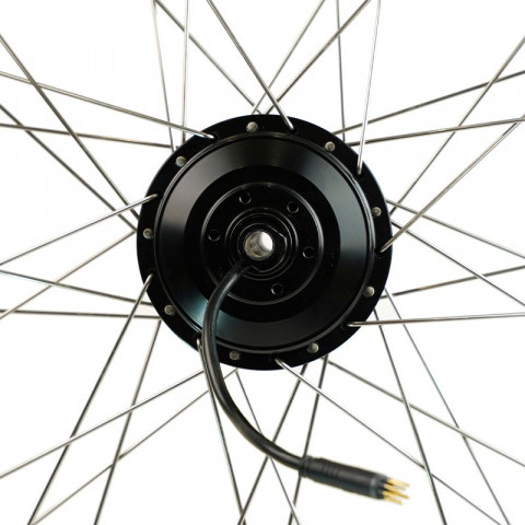 Kit Hornet pour axe traversant 250W roue arrière avec batterie carénée 36V 250Wh à 700Wh