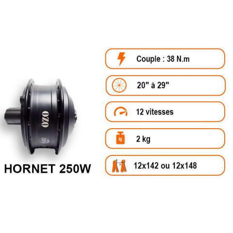 Kit hornet pour vélo de route axe traversant 250W roue arrière avec batterie carénée 36V 250Wh À 700Wh