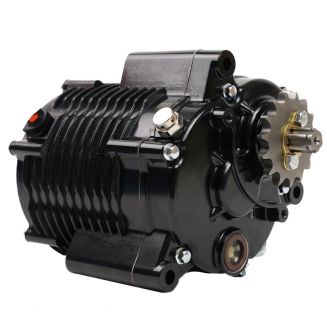 Electric retrofit motor for motocycle or karting