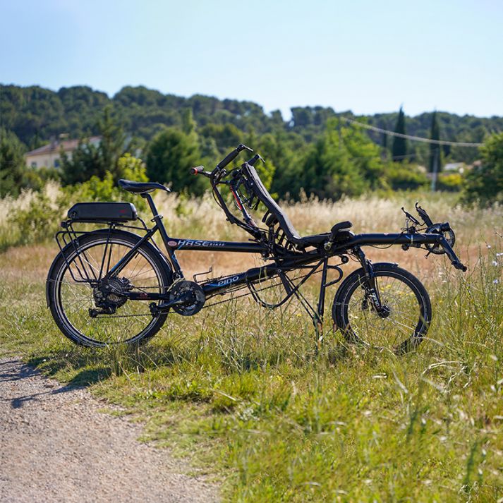 Moteur Freeride 