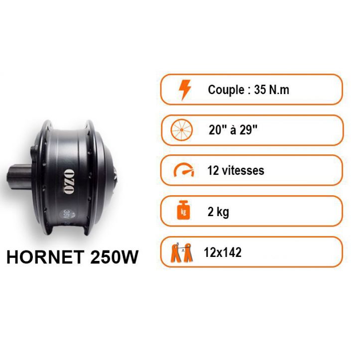 Kit Hornet pour axe traversant 250W roue arrière avec batterie carénée 36V 250Wh à 700Wh