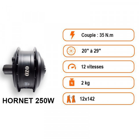 Touring 250W rear wheel kit with frame battery 36V 250Wh to 700Wh