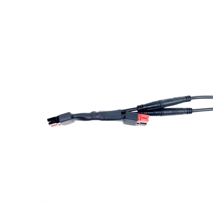 Adaptateur éclairage Anderson vers 2 JULET Mâle Z209AG