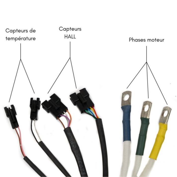 MOTEUR ELECTRIQUE ROUE SINGLE AXE 3000W 50H