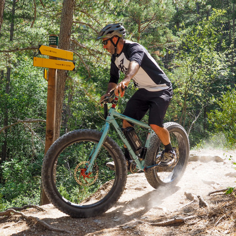 Fat Bike 250W rear wheel kit with 36V casing battery