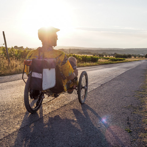 Kit Trike 250W roue arrière avec batterie cadre 36V