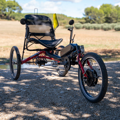 Kit Donkey 250W front wheel with frame battery 36V 230Wh to 700Wh