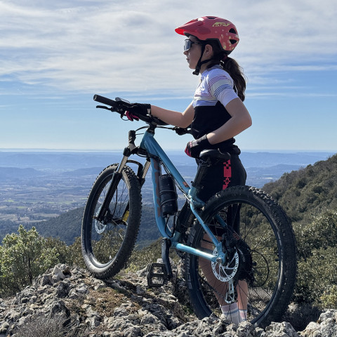 Kit kid 250W 20 inch rear wheel with 36V PVC battery