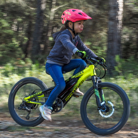 Kit kid 250W 20 inch rear wheel with 36V PVC battery