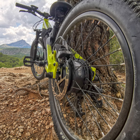 Kit kid 250W 24 inch rear wheel with 36V PVC battery