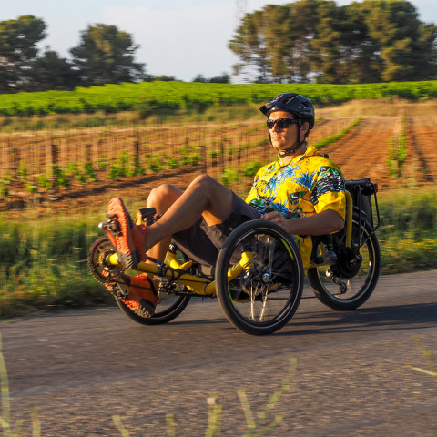 Kit Trike 750W roue arrière avec batterie cadre 48V